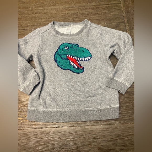 Carter’s Kid Dinosaur Gray Sweat Shirt Tol Size 6 - Picture 1 of 3